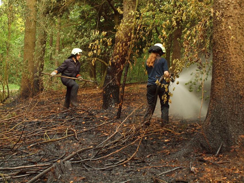 Waldbrand Bergisch Gladbach Bensberg P183.JPG